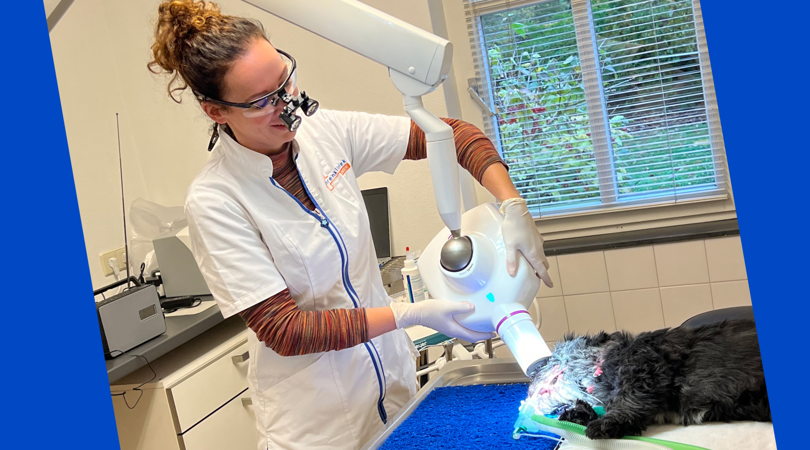 Dierenkliniek Zundert