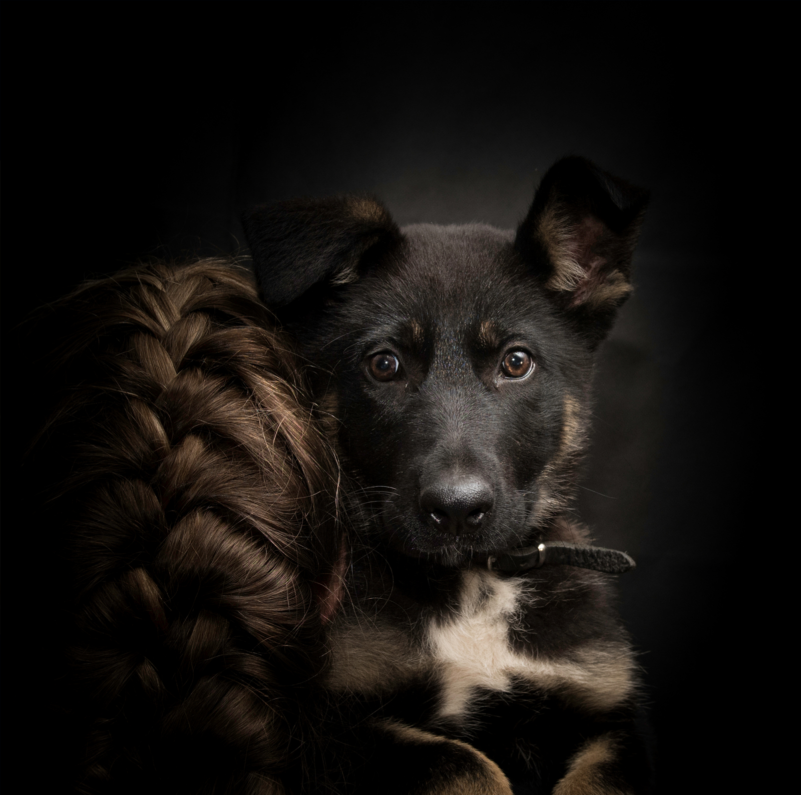Dierenkliniek Zundert